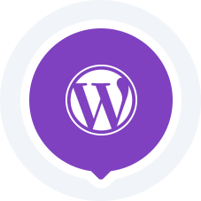 icona wordpress